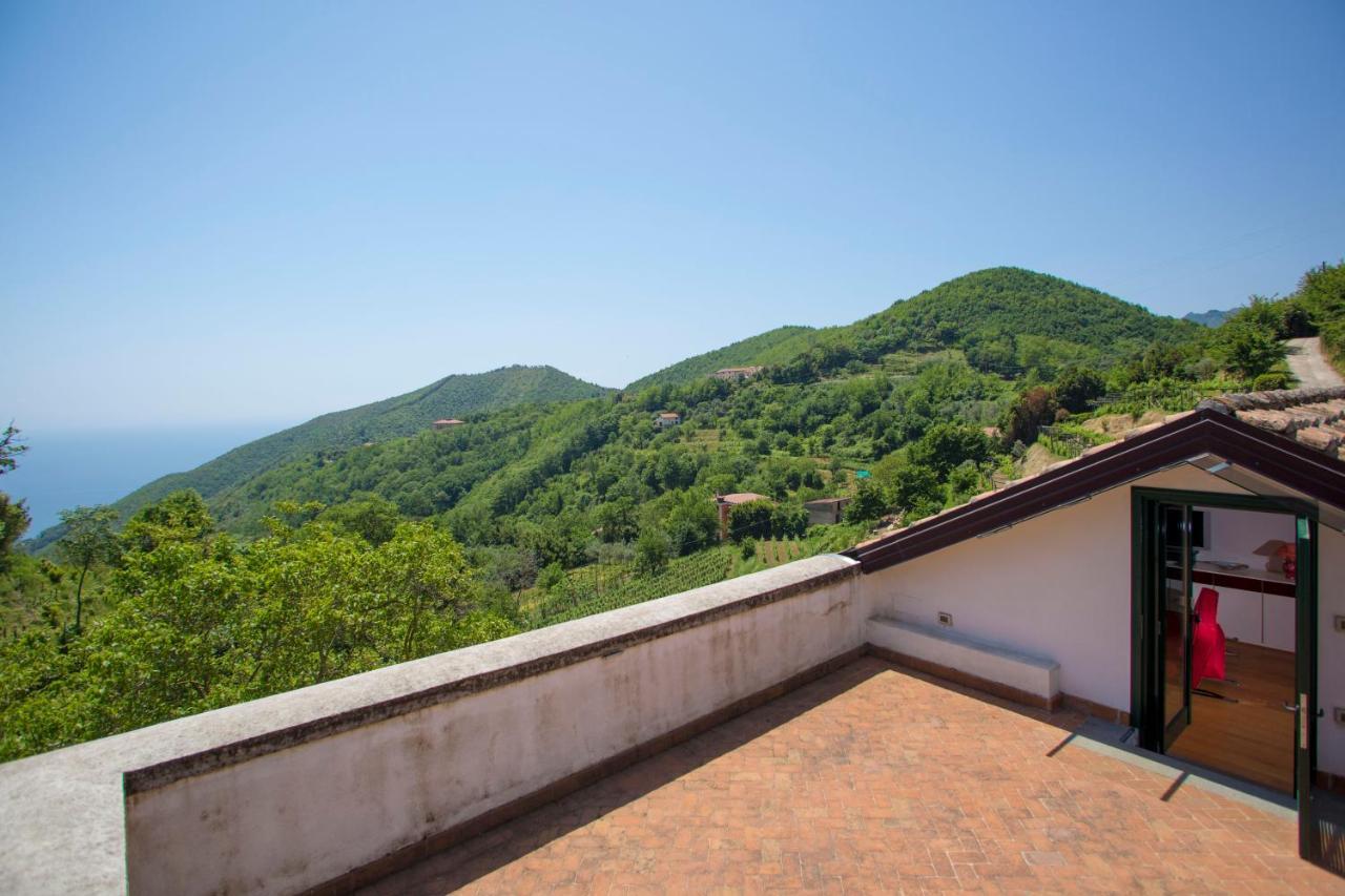 Agriturismo Villa Lupara Salerno Zewnętrze zdjęcie